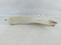 2005-2010 Honda Odyssey Windshield Washer Fluid Reservoir Bottle Oem - Oemusedautoparts1.com