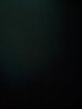 compare product 2010-2013 Kia Forte Driver Front Seat Oem