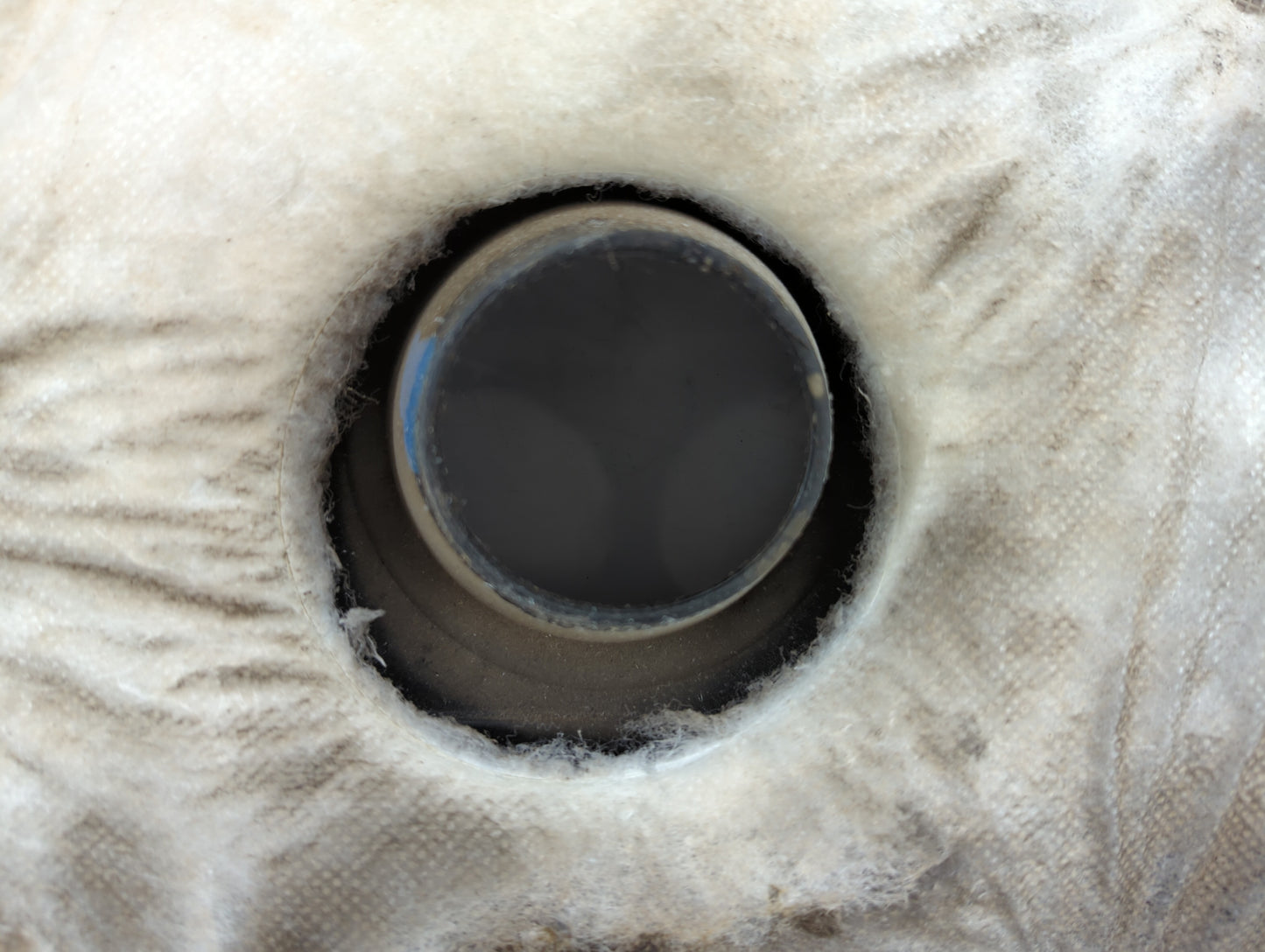 2010 Mazda 3 Engine Cover - Oemusedautoparts1.com