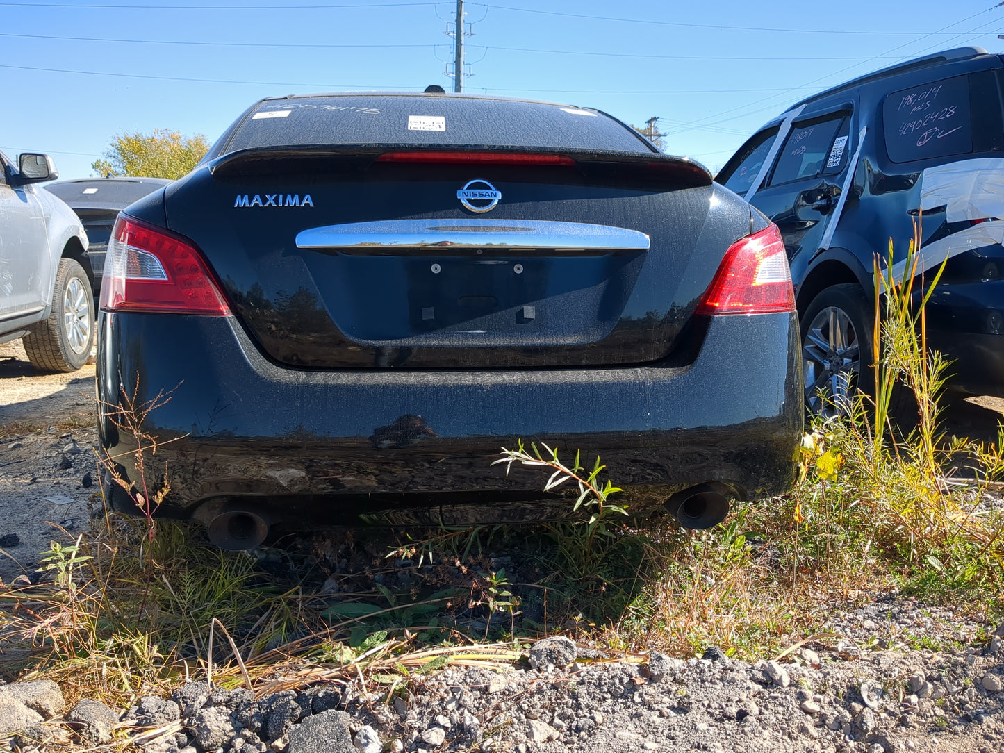 2009-2014 Nissan Maxima Rear Bumper Assembly Oem - Oemusedautoparts1.com