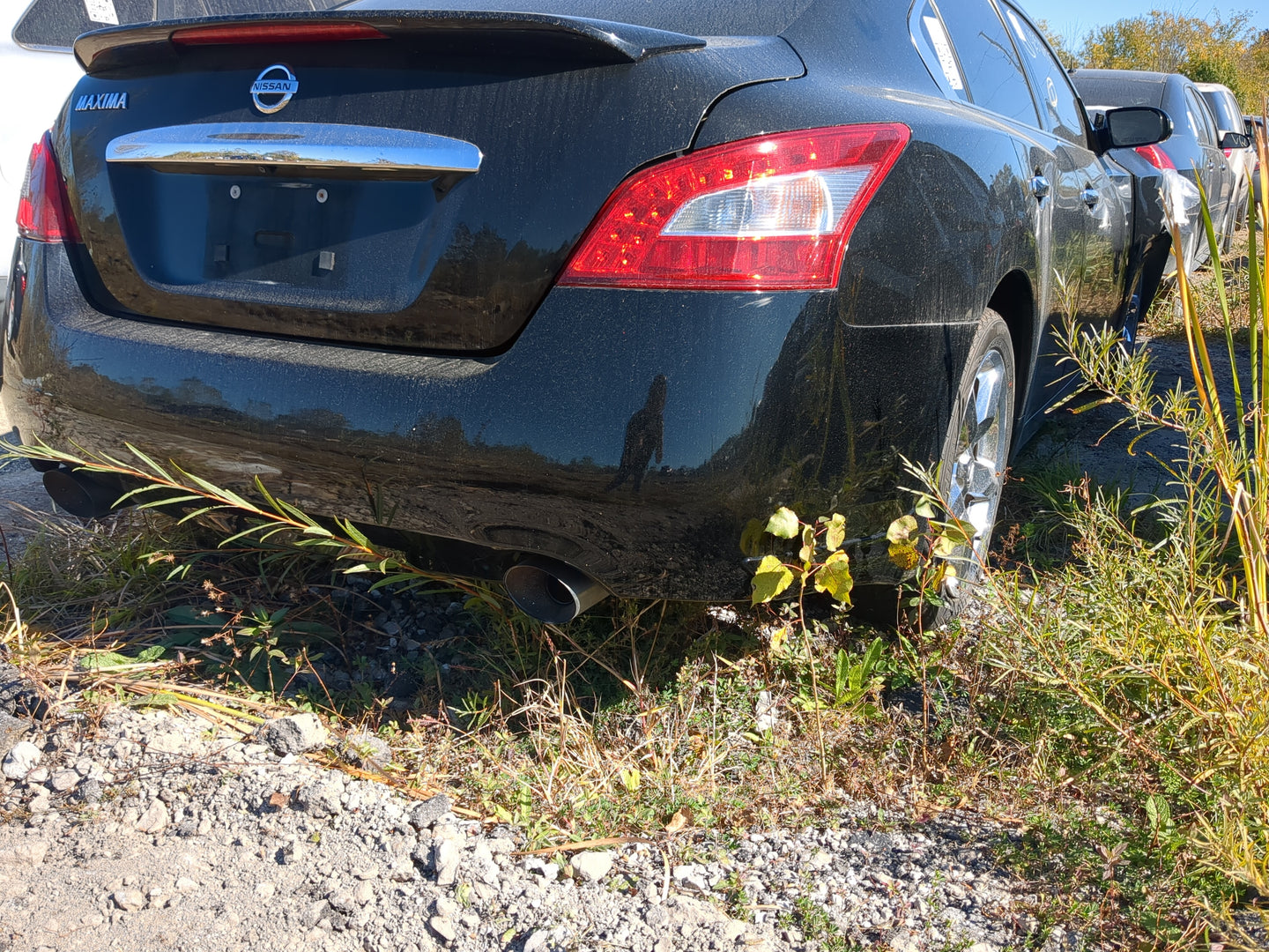2009-2014 Nissan Maxima Rear Bumper Assembly Oem - Oemusedautoparts1.com