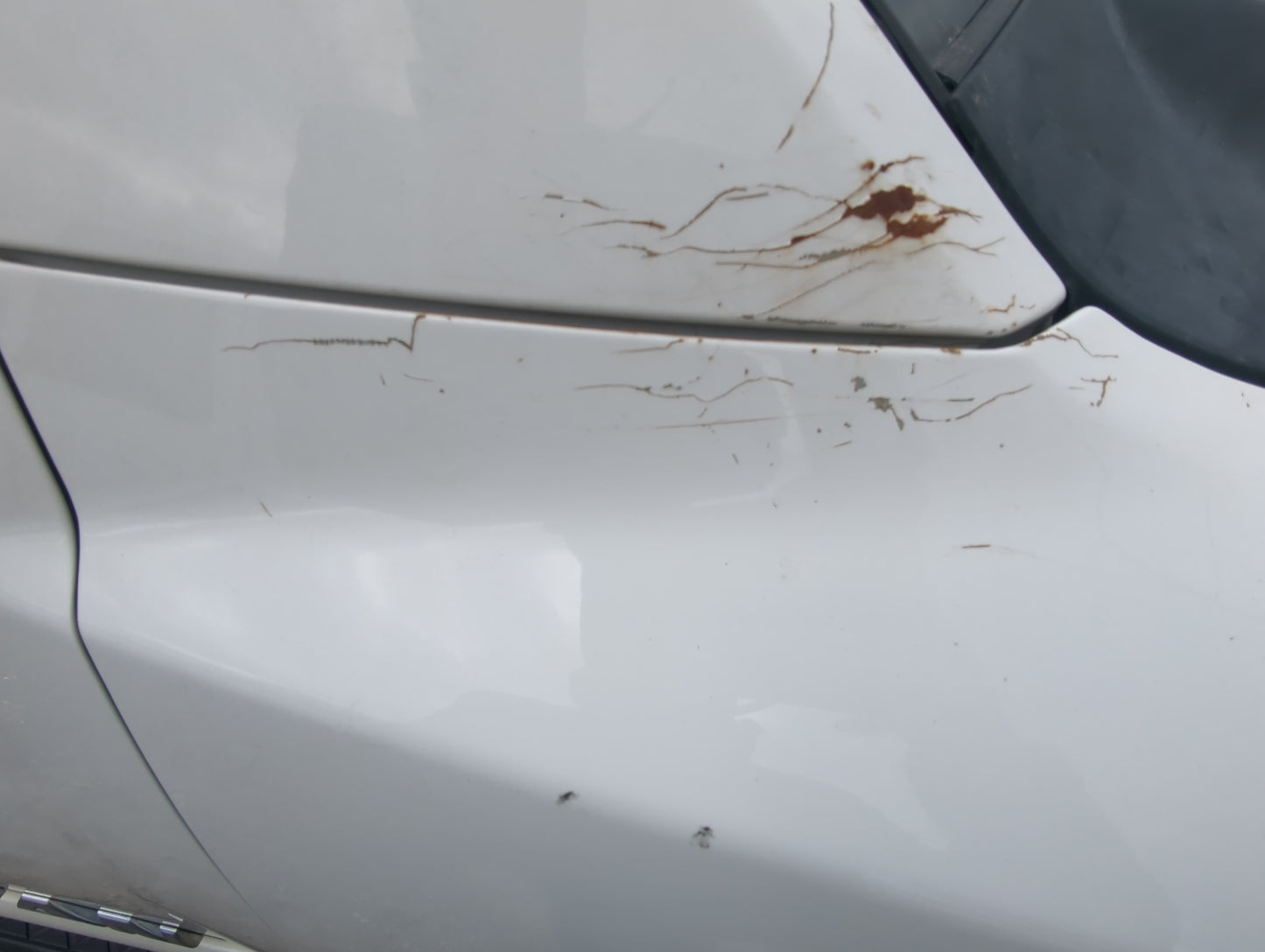 2005-2015 Nissan Titan Passenger Fender - Oemusedautoparts1.com