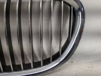 2011-2012 Bmw 740i Front Grille Bumper Not Included - Oemusedautoparts1.com