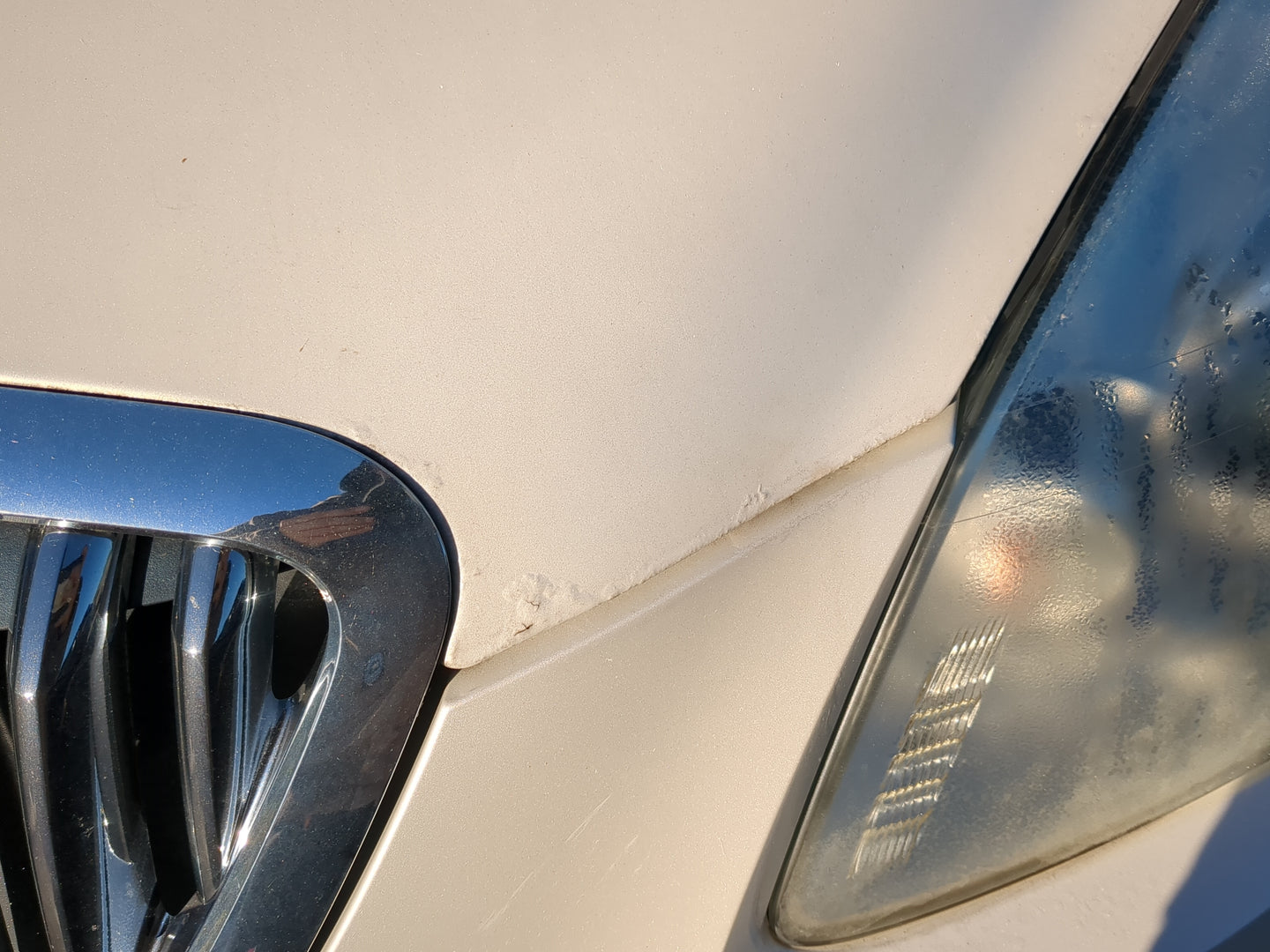 2008-2012 Buick Enclave Hood Oem - Oemusedautoparts1.com