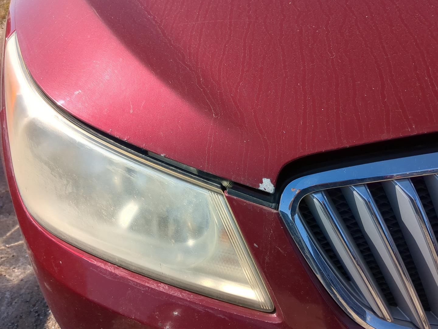 2010-2013 Buick Lacrosse Hood Oem - Oemusedautoparts1.com