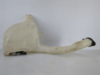 2006-2016 Chevrolet Impala Windshield Washer Fluid Reservoir Bottle Oem - Oemusedautoparts1.com