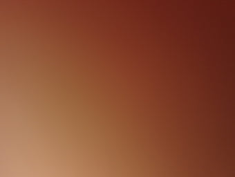 compare product 2010-2012 Ford Fusion Air Bag Driver Left Steering Wheel Mounted