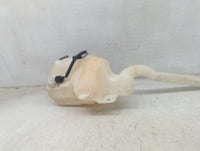 2008-2013 Ford Taurus Windshield Washer Fluid Reservoir Bottle Oem 1473741 - Oemusedautoparts1.com
