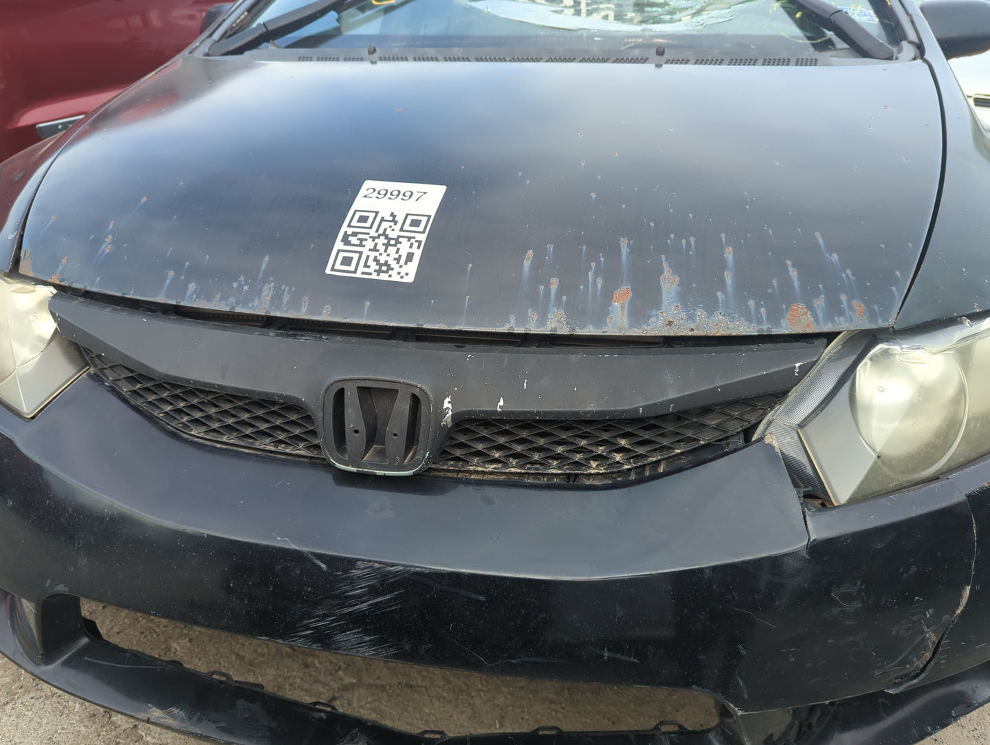 2009-2011 Honda Civic Front Grille Bumper Not Included 5016127 - Oemusedautoparts1.com