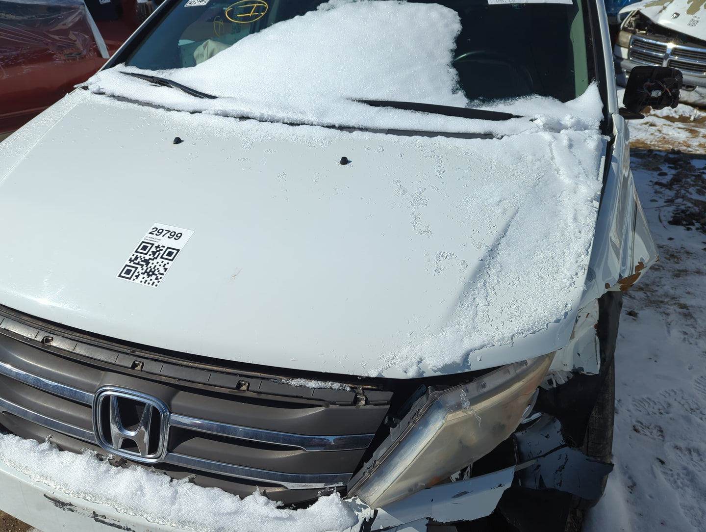 2011-2013 Honda Odyssey Hood Oem 1381174 - Oemusedautoparts1.com