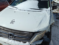 2011-2013 Honda Odyssey Hood Oem 1381174 - Oemusedautoparts1.com