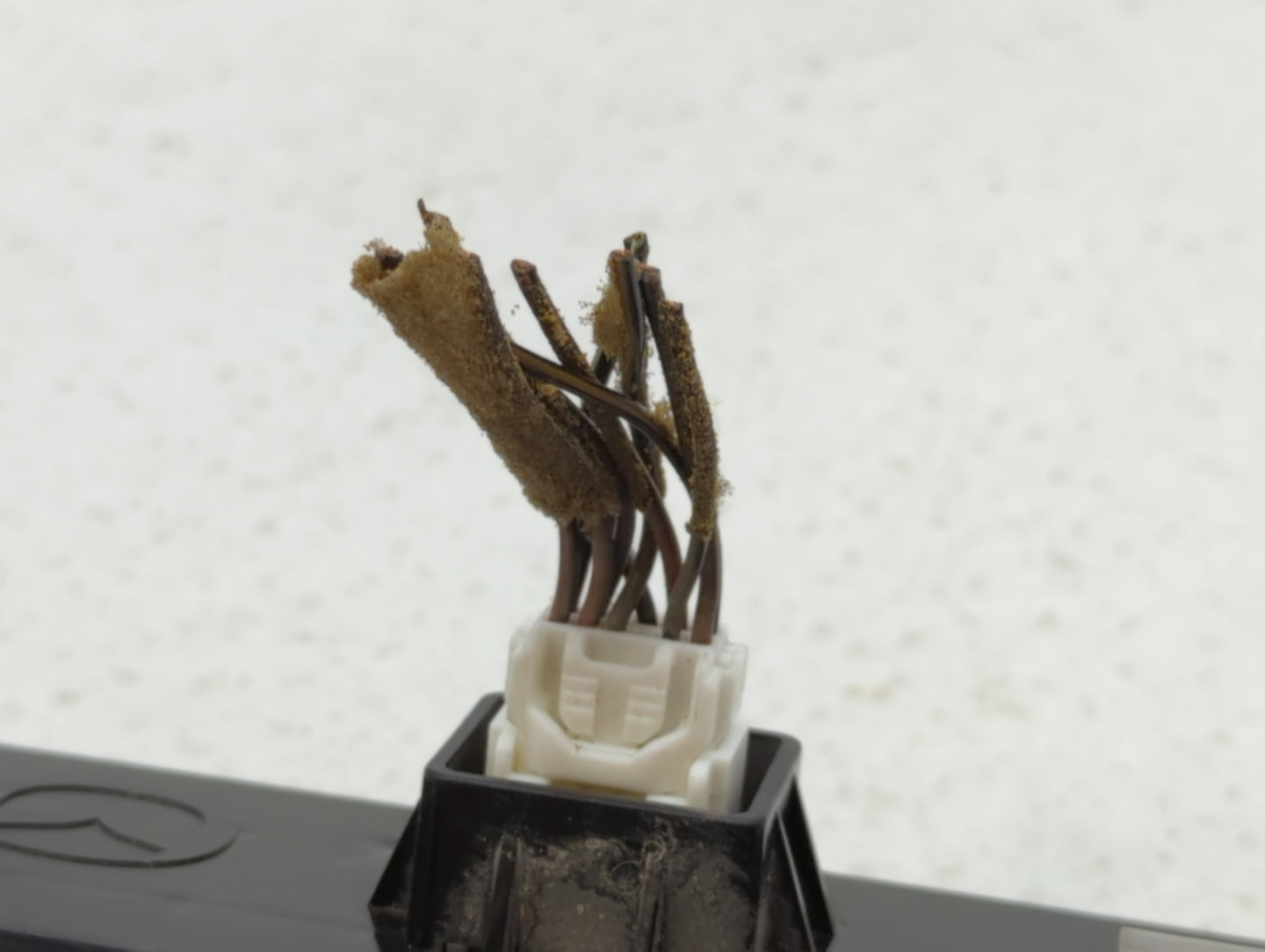 2010-2012 Mazda Cx-9 Am Fm Cd Player Radio Receiver - Oemusedautoparts1.com