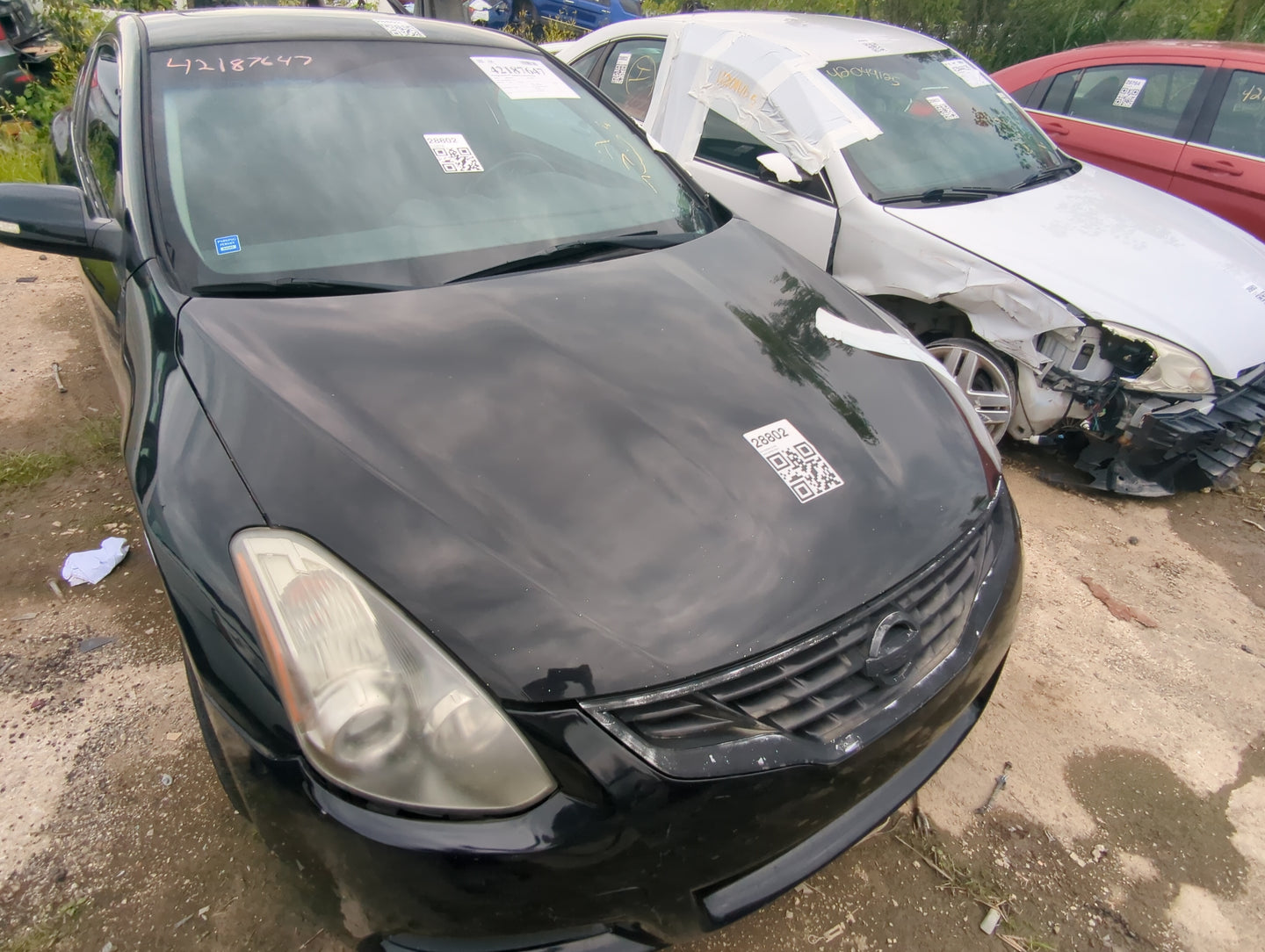 2010-2013 Nissan Altima Hood Oem - Oemusedautoparts1.com