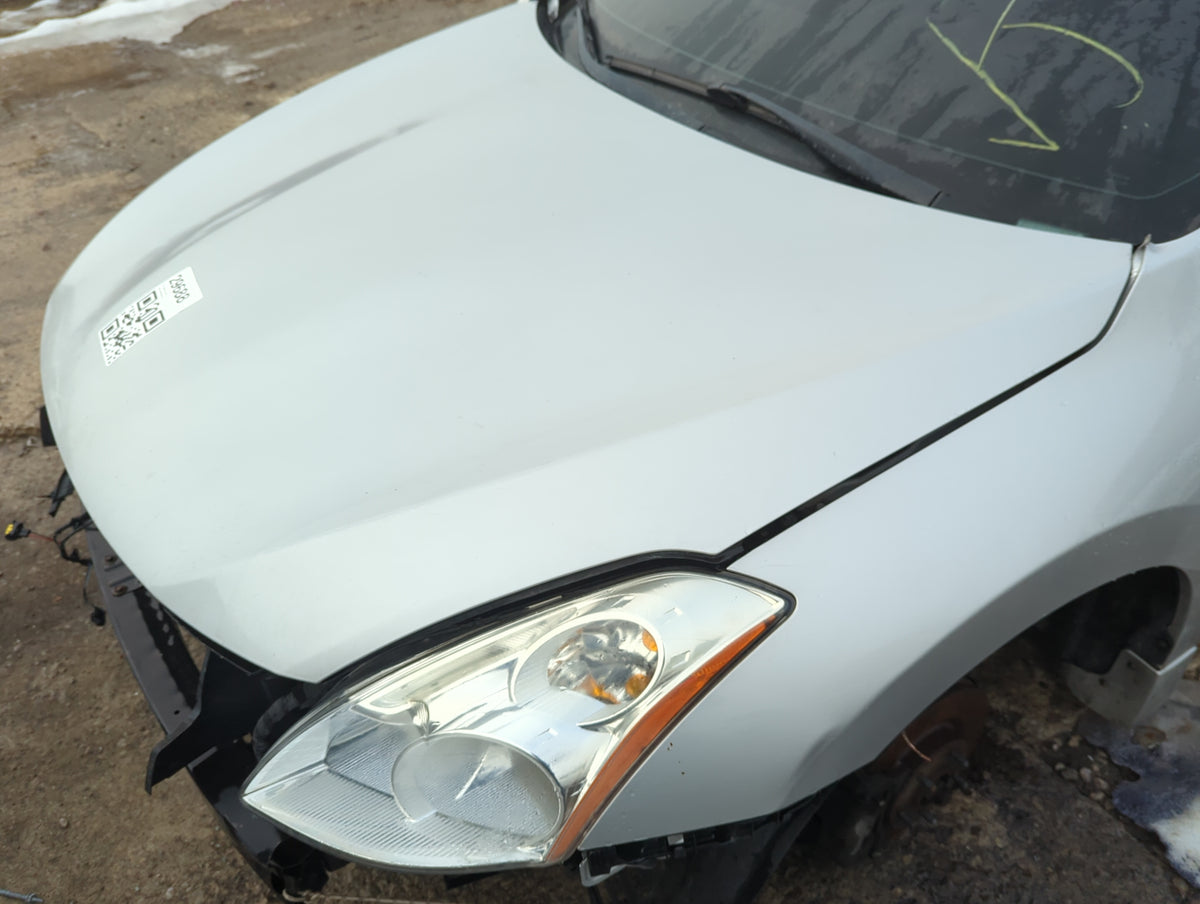 2010-2013 Nissan Altima Hood Oem 1313732 - Oemusedautoparts1.com