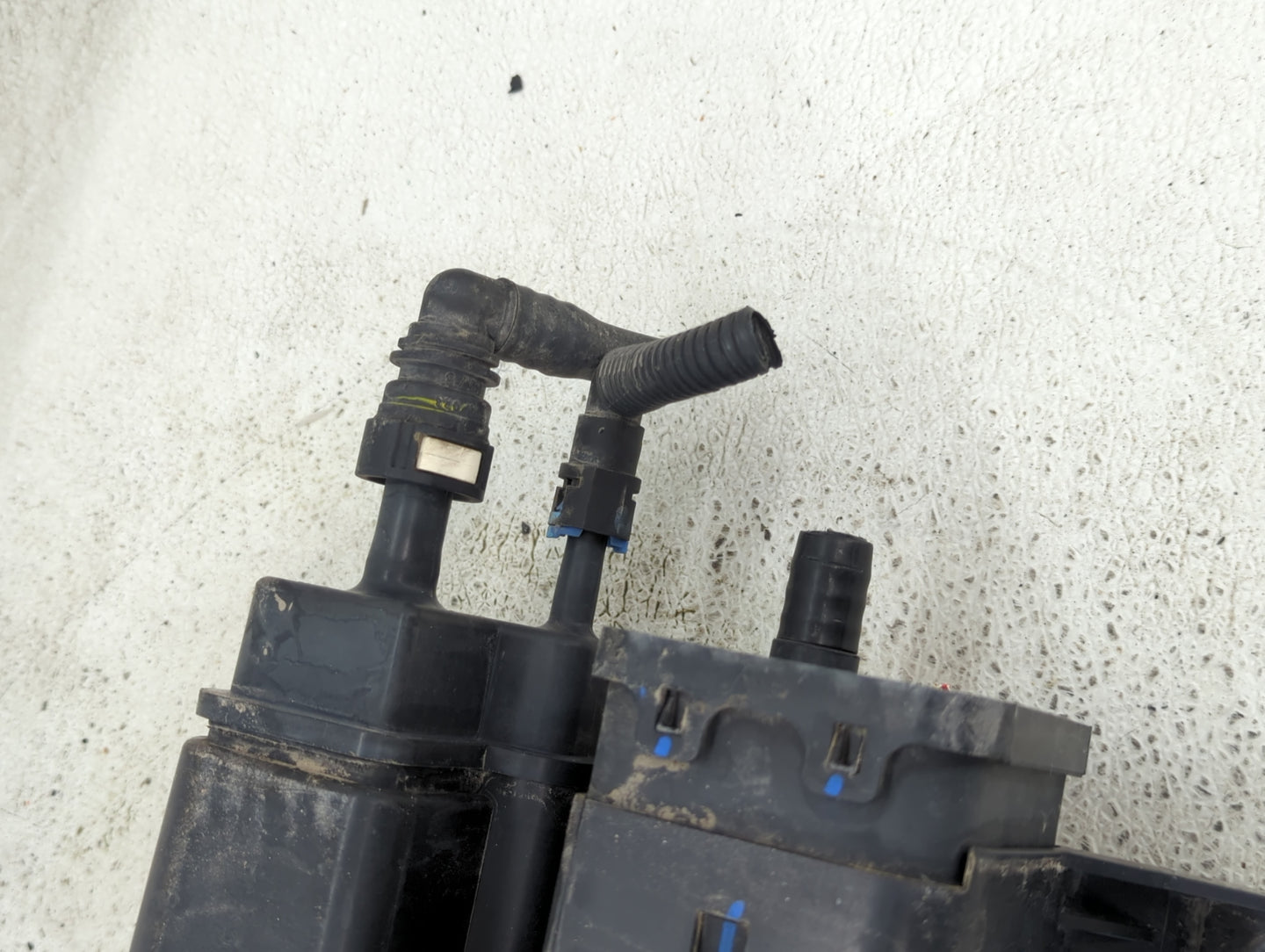 2012 Chevrolet Captiva Sport Fuel Vapor Charcoal Canister - Oemusedautoparts1.com