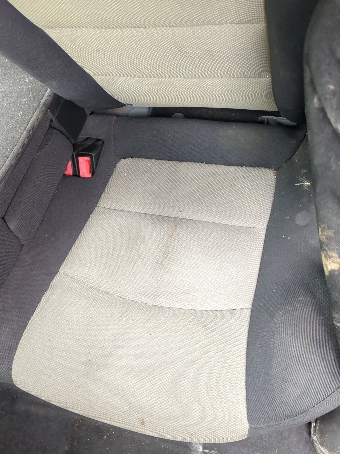 2012 Chevrolet Cruze Rear Seat Oem 921547 - Oemusedautoparts1.com