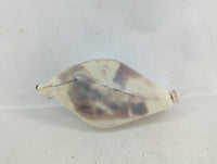 2011-2014 Chrysler 200 Radiator Coolant Overflow Expansion Tank Bottle - Oemusedautoparts1.com