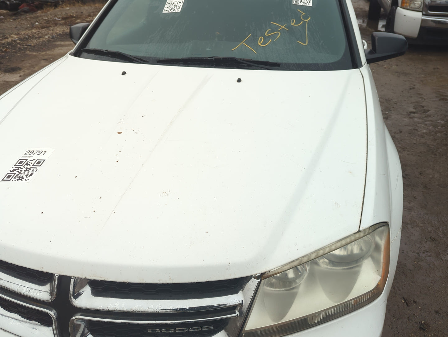 2008-2014 Dodge Avenger Hood Oem 1376129 - Oemusedautoparts1.com