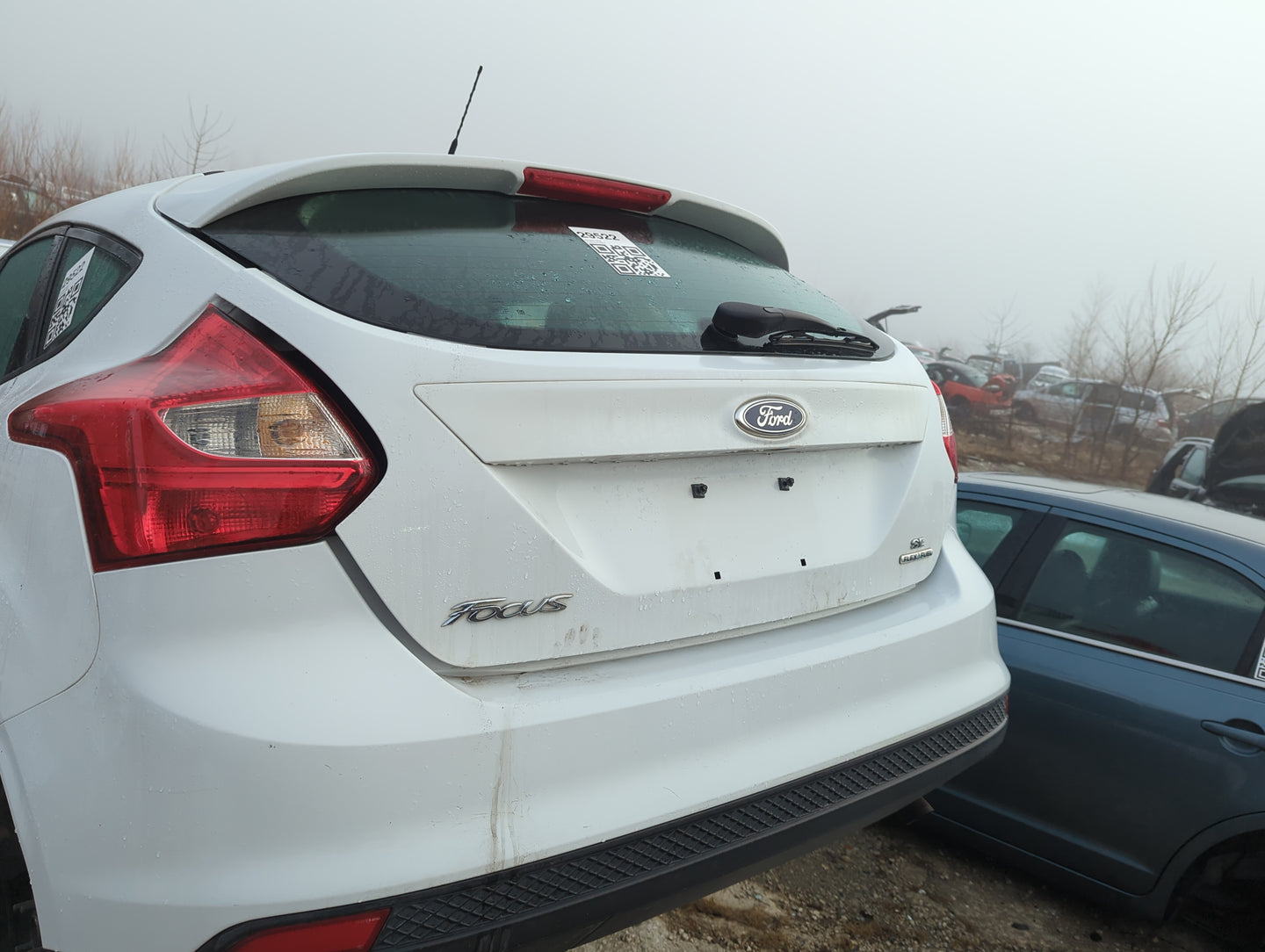 2012-2014 Ford Focus Trunk/decklid/hatch/tailgate Oem - Oemusedautoparts1.com