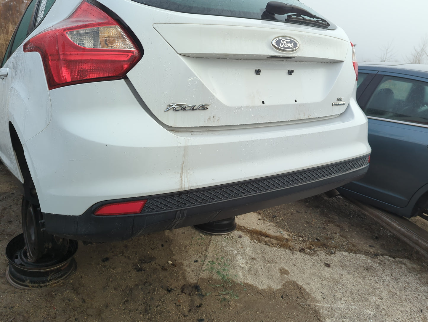 2012-2014 Ford Focus Rear Bumper Assembly Oem - Oemusedautoparts1.com