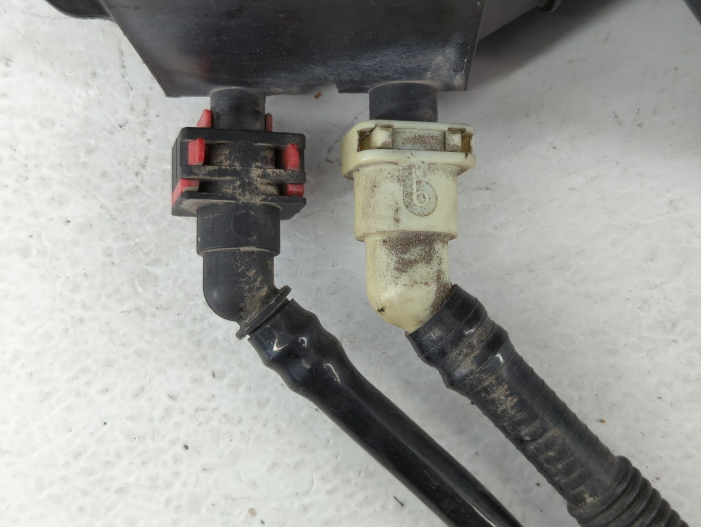 2012 Ford Focus Fuel Vapor Charcoal Canister - Oemusedautoparts1.com