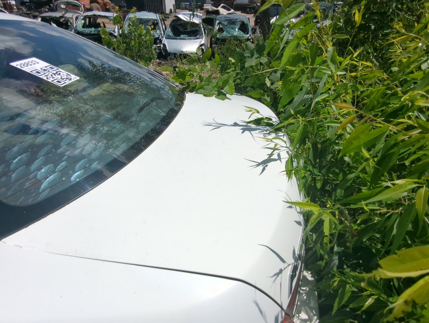 2011-2012 Honda Accord Trunk/decklid/hatch/tailgate Oem - Oemusedautoparts1.com