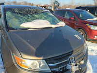 2011-2013 Honda Odyssey Hood Oem 1364993 - Oemusedautoparts1.com
