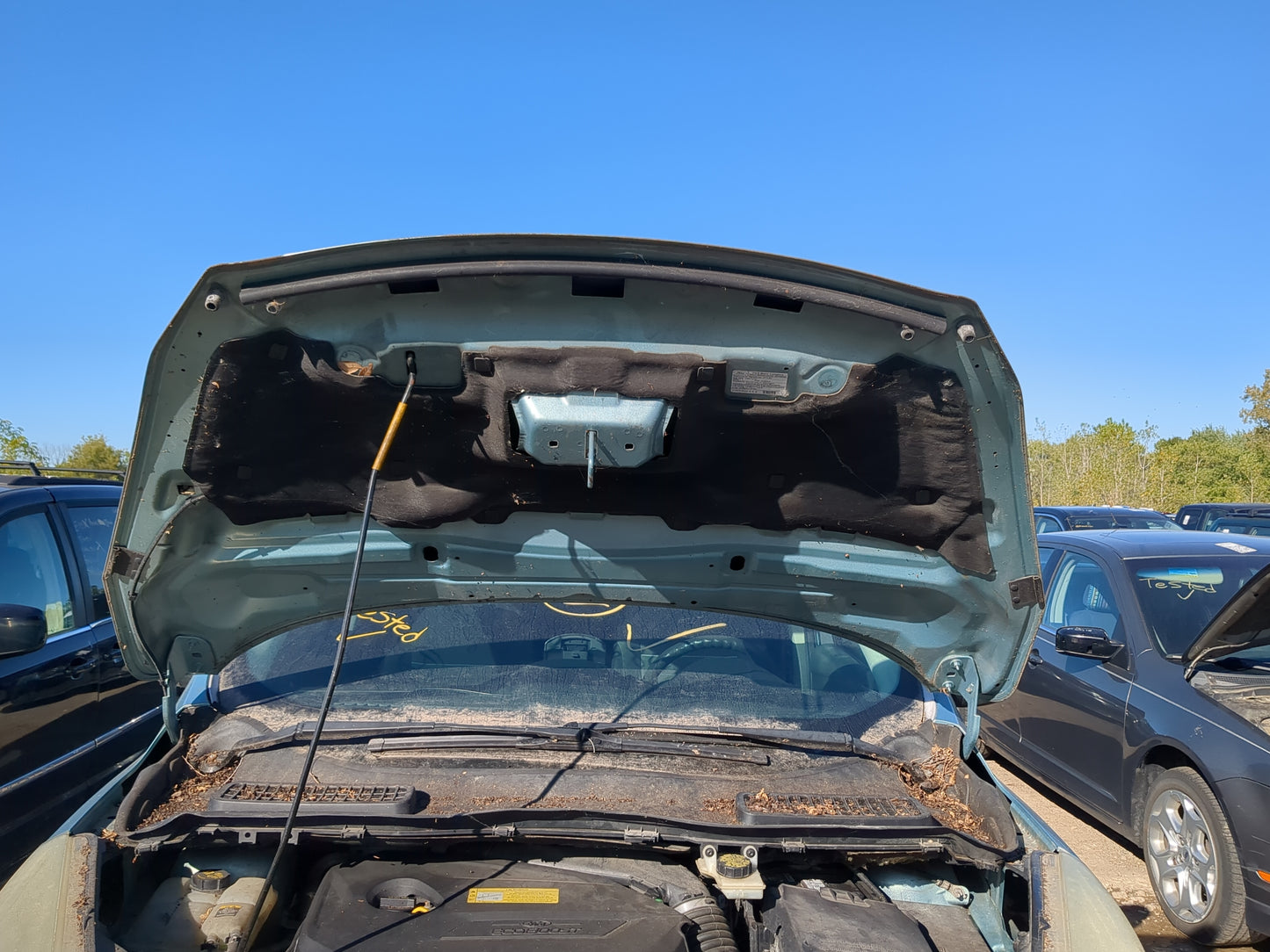 2013-2016 Ford Escape Hood Oem - Oemusedautoparts1.com