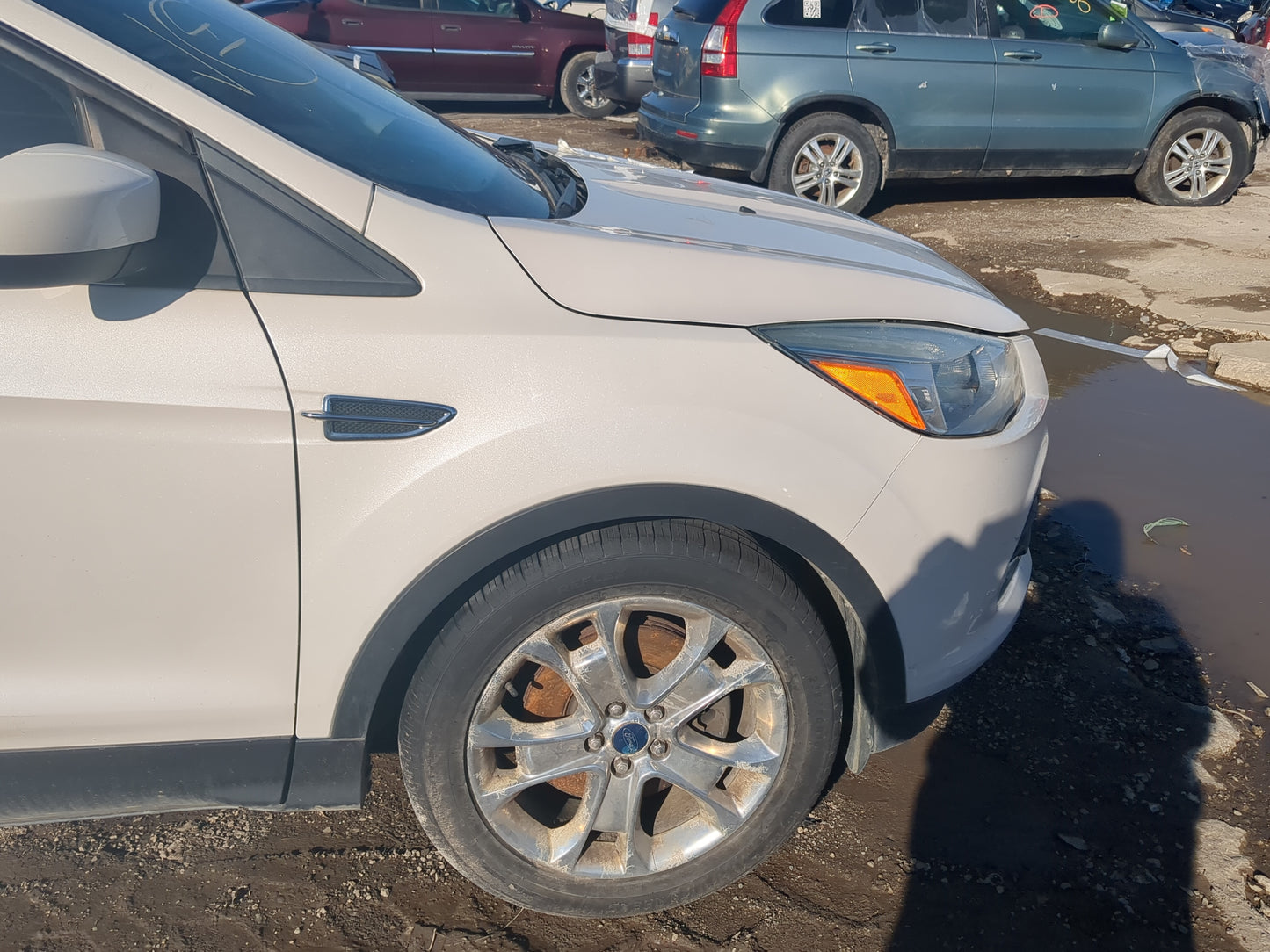 2013 Ford Escape Passenger Fender 1234409 - Oemusedautoparts1.com