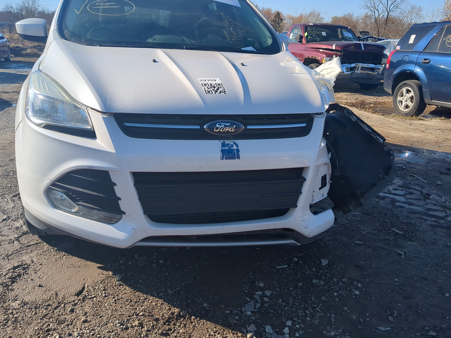 2013-2016 Ford Escape Front Grille Bumper Not Included 1234462 - Oemusedautoparts1.com