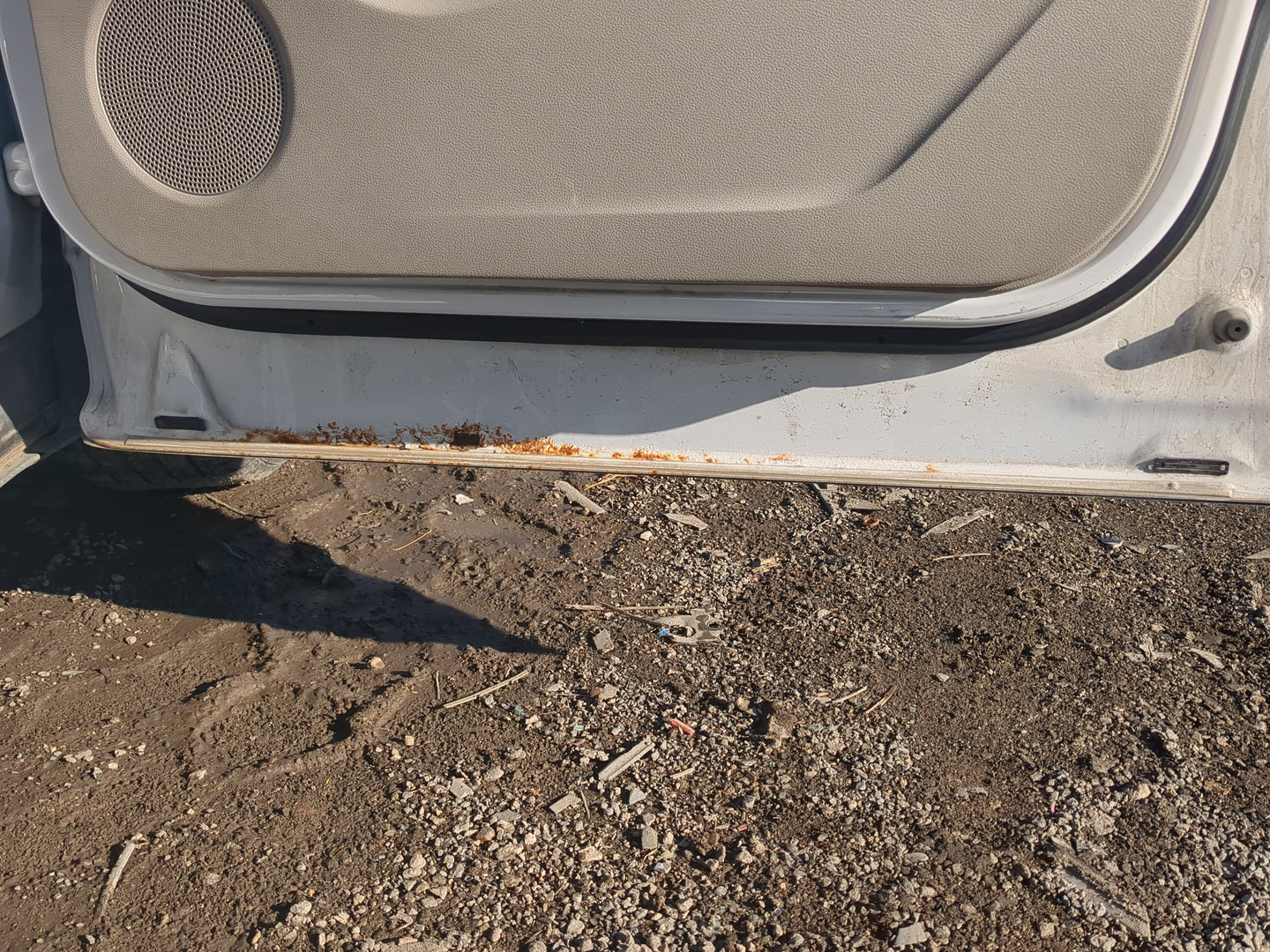 2013-2019 Ford Escape Passenger Front Door Oem 1234523 - Oemusedautoparts1.com
