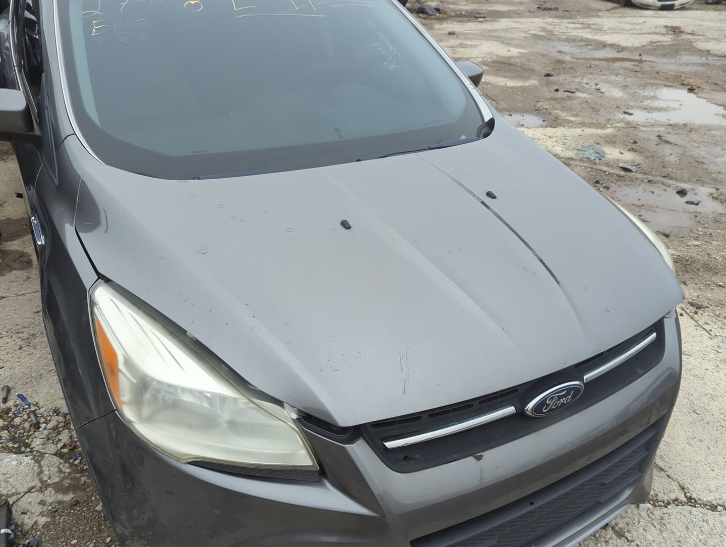 2013-2016 Ford Escape Hood Oem - Oemusedautoparts1.com