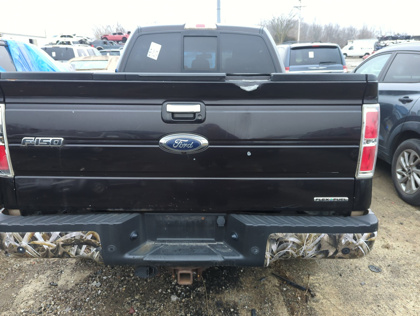 2011-2014 Ford F-150 Trunk/decklid/hatch/tailgate Oem - Oemusedautoparts1.com