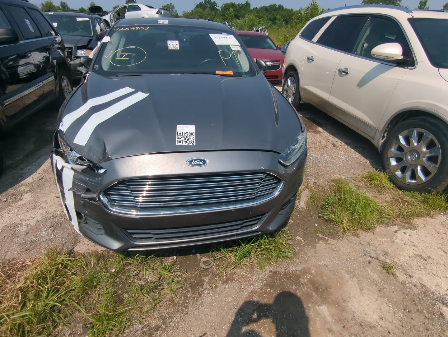 2013-2016 Ford Fusion Front Bumper Grille - Oemusedautoparts1.com
