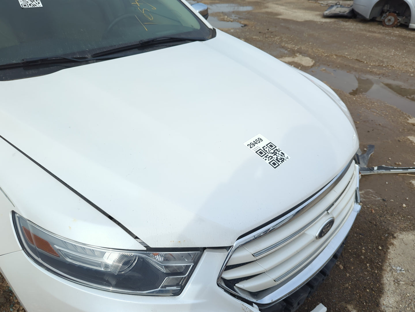 2013-2019 Ford Taurus Hood Oem - Oemusedautoparts1.com