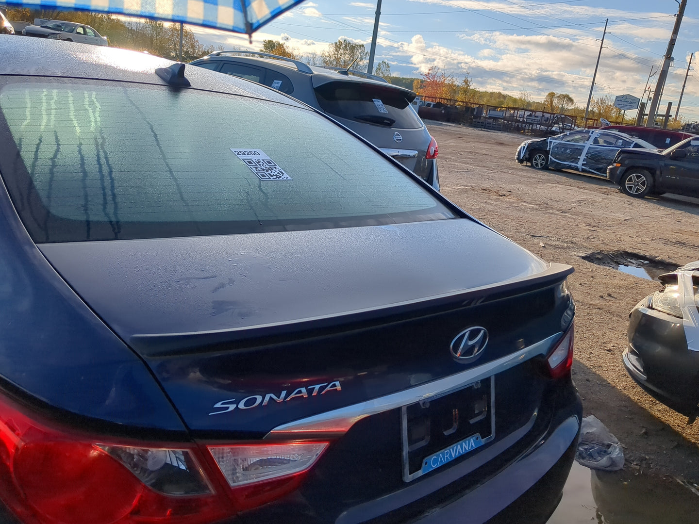 2011-2014 Hyundai Sonata Trunk/decklid/hatch/tailgate Oem - Oemusedautoparts1.com