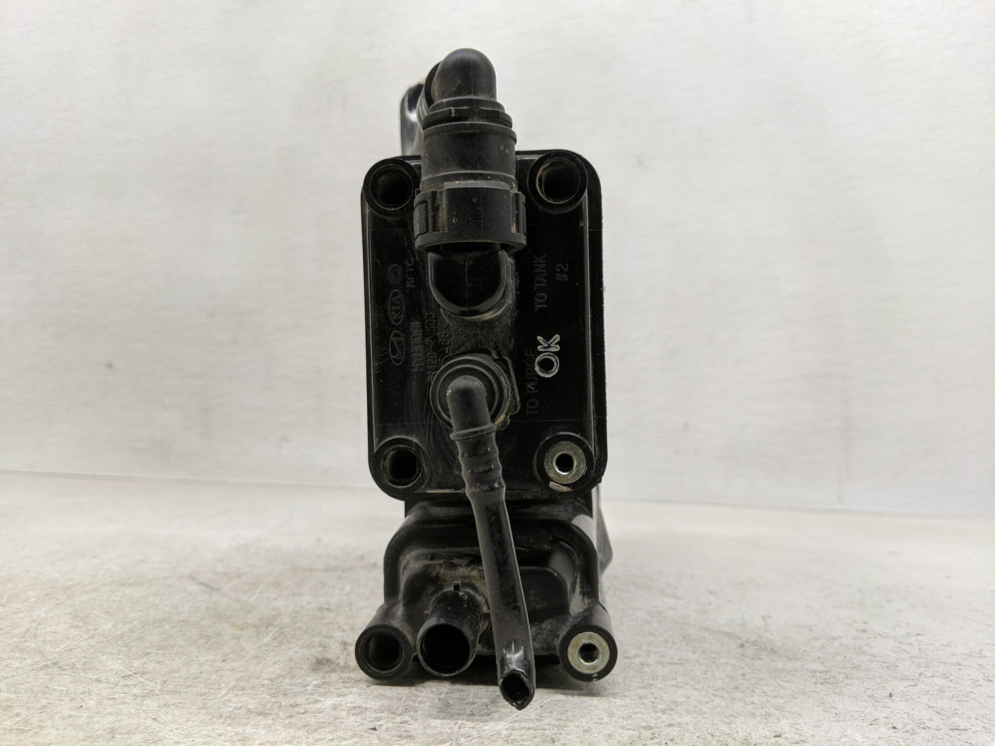 2013 Hyundai Veloster Fuel Vapor Charcoal Canister - Oemusedautoparts1.com