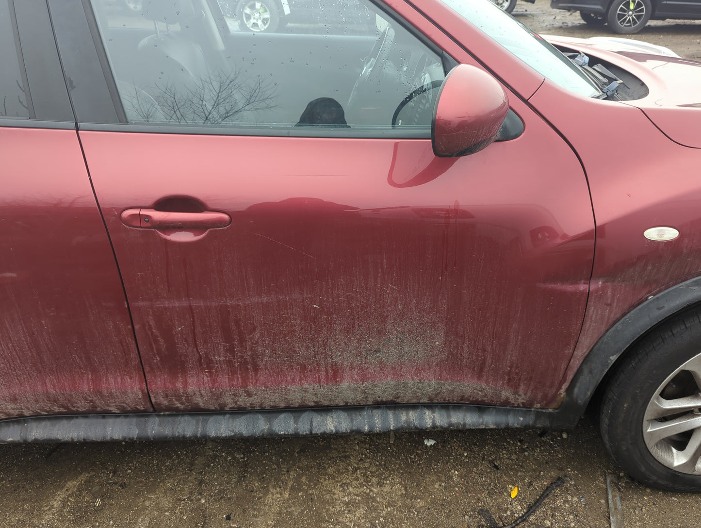 2013-2017 Nissan Juke Passenger Front Door Oem 1389415 - Oemusedautoparts1.com