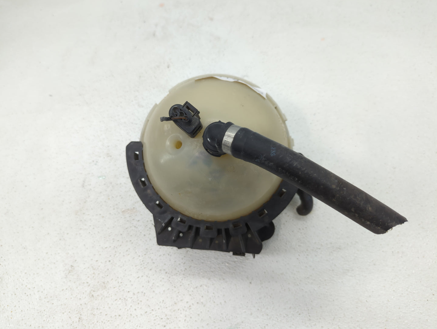 Bmw 328i Radiator Coolant Overflow Expansion Tank Bottle - Oemusedautoparts1.com