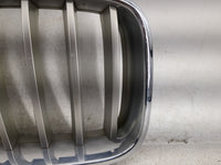 2013-2017 Bmw X3 Front Grille Bumper Not Included 1459951 - Oemusedautoparts1.com