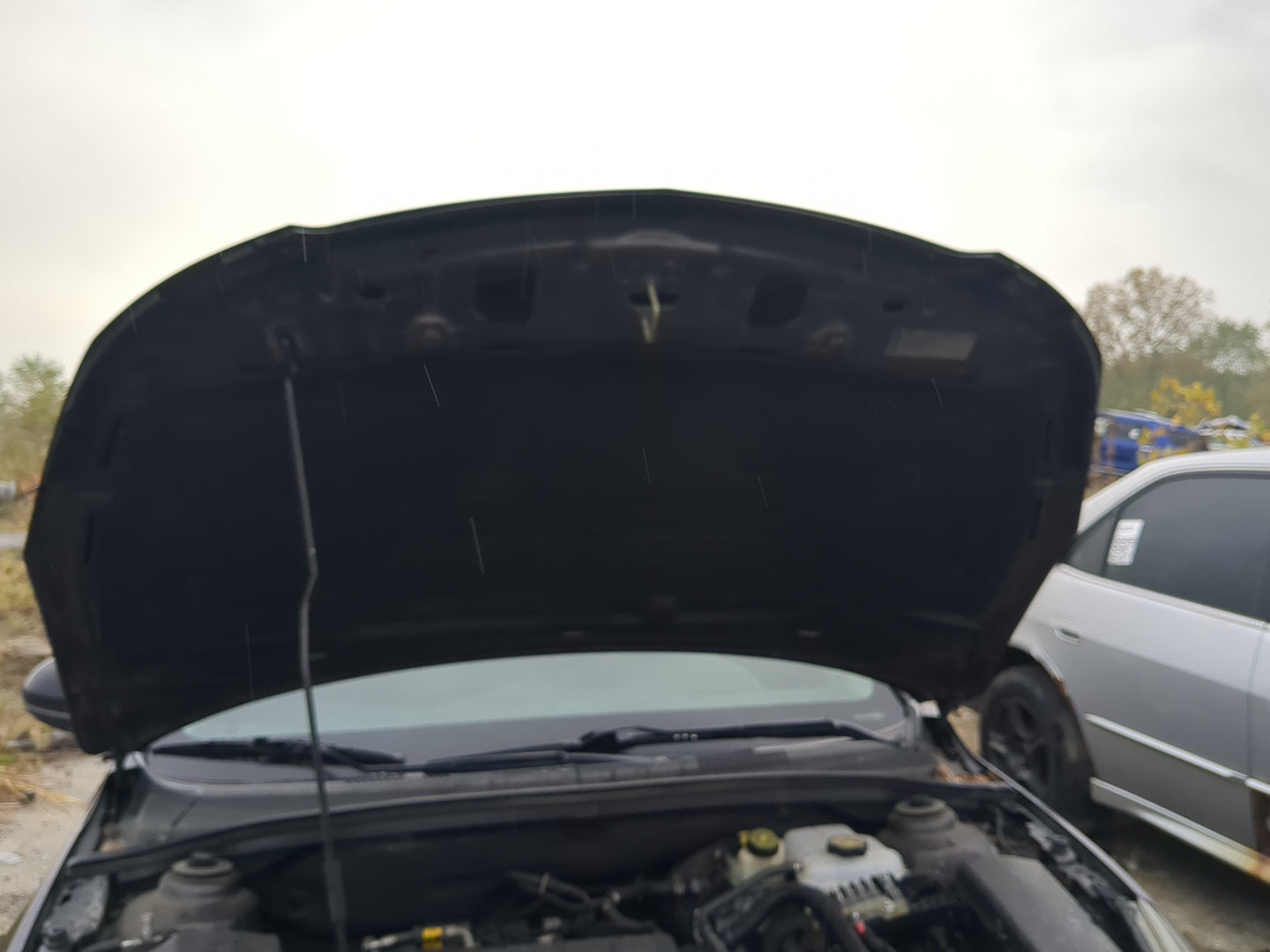 2011-2016 Chevrolet Cruze Hood Oem 1199669 - Oemusedautoparts1.com