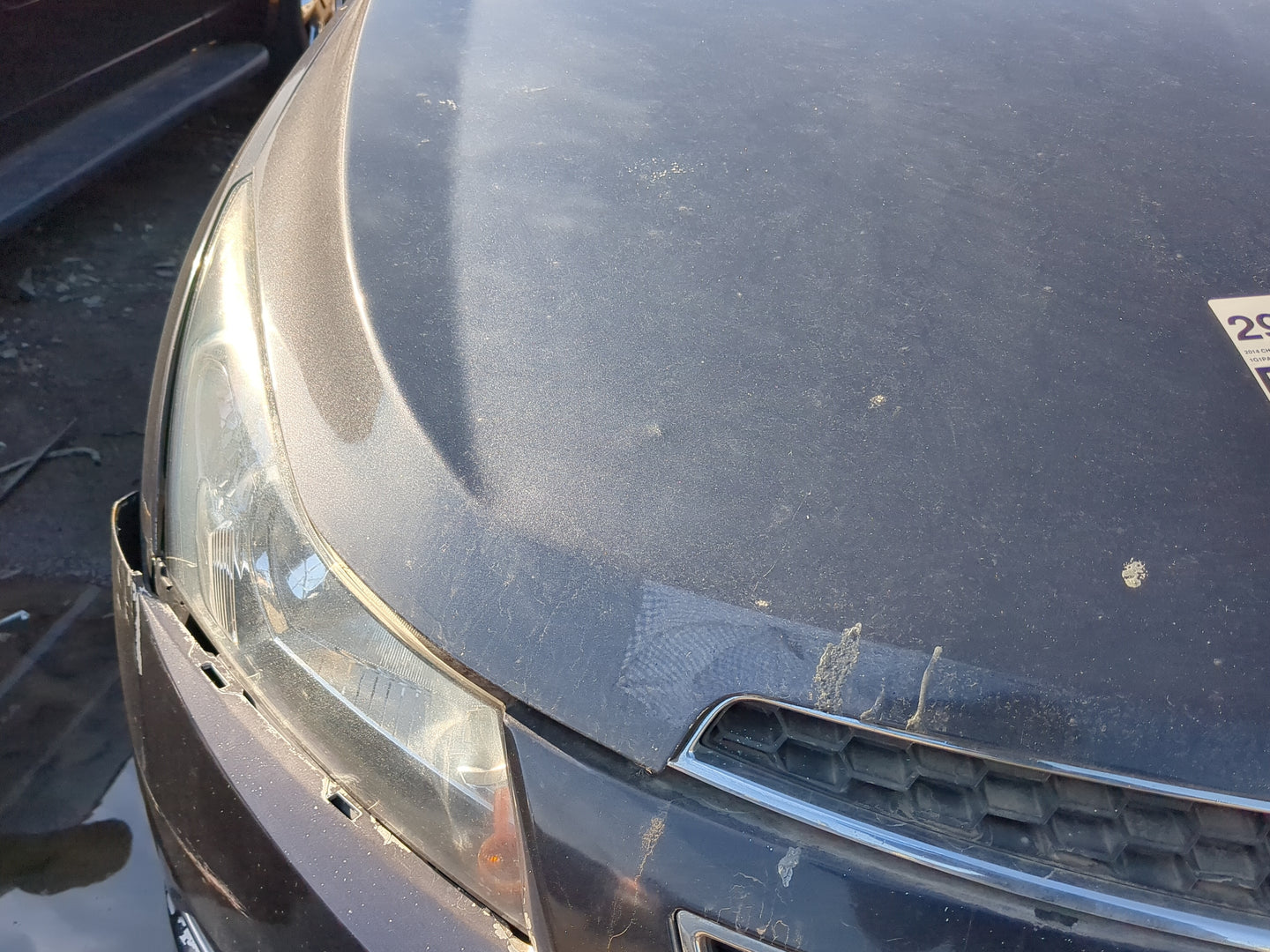 2011-2016 Chevrolet Cruze Hood Oem 1235063 - Oemusedautoparts1.com
