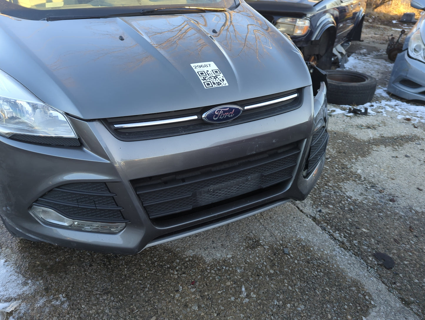 2013-2016 Ford Escape Front Grille Bumper Not Included 1306599 - Oemusedautoparts1.com
