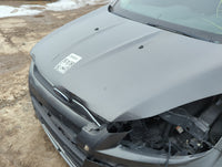 2013-2016 Ford Escape Hood Oem 1313561 - Oemusedautoparts1.com