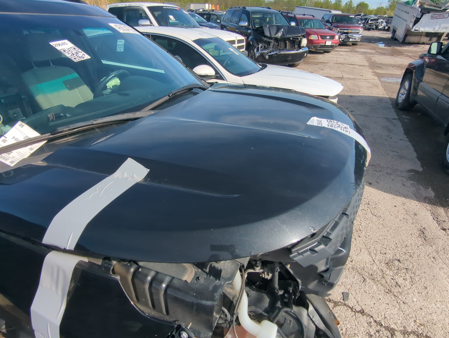 2011-2015 Ford Explorer Hood Oem - Oemusedautoparts1.com