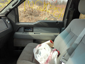 compare product 2014 Ford F-150 Front Right Passenger Interior Door Panel Trim 1325070