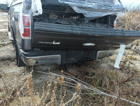 2009-2014 Ford F-150 Rear Bumper Assembly Oem - Oemusedautoparts1.com