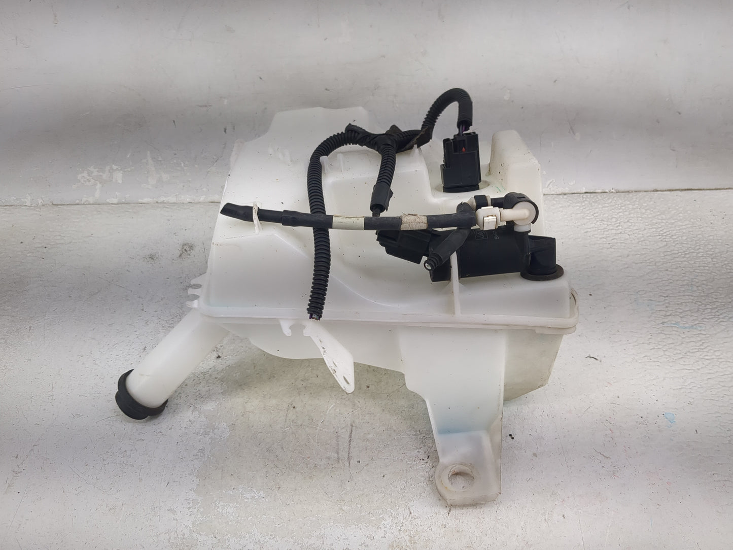 2012-2018 Ford Focus Windshield Washer Fluid Reservoir Bottle Oem 1474121 - Oemusedautoparts1.com