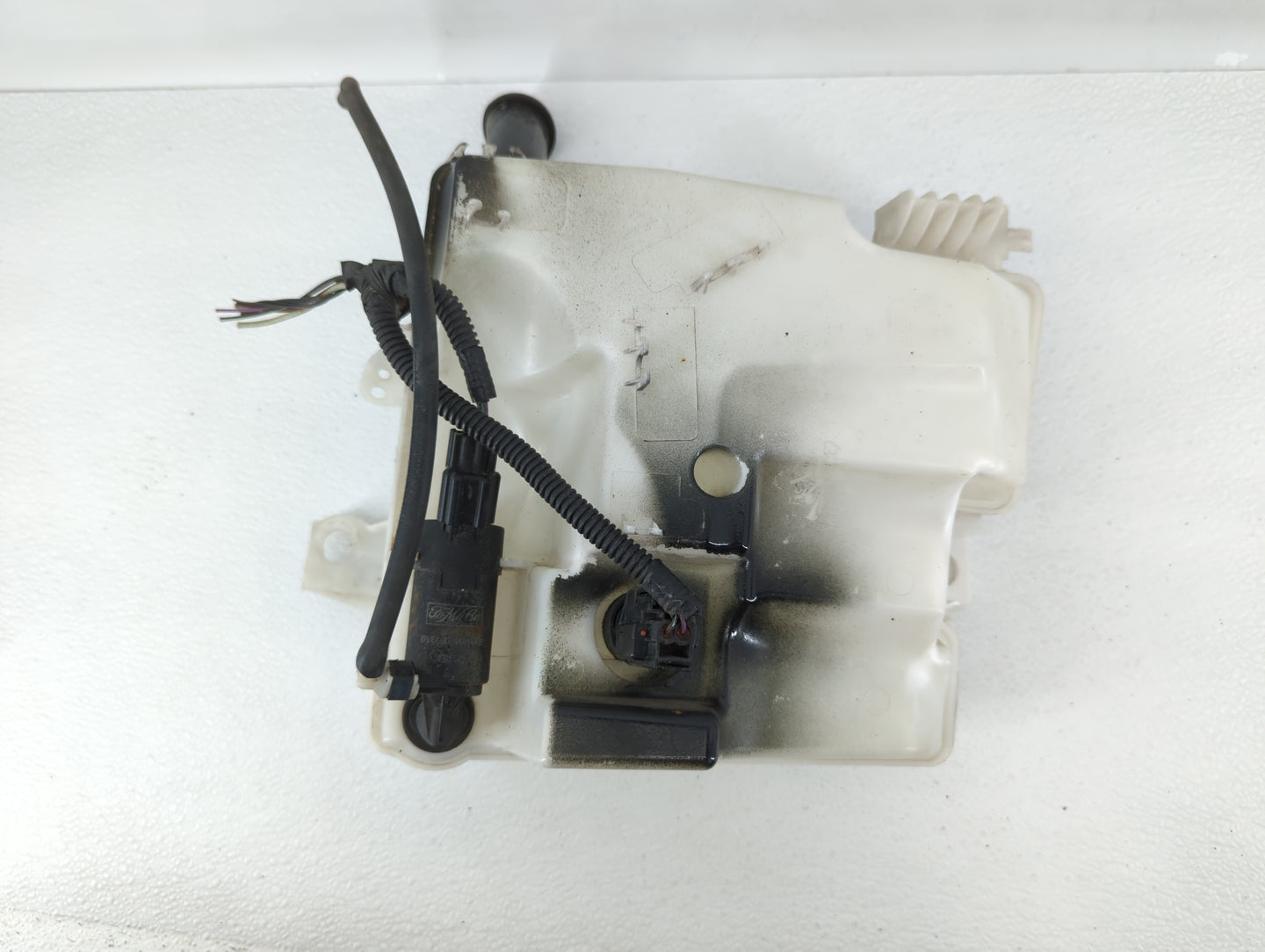2012-2018 Ford Focus Windshield Washer Fluid Reservoir Bottle Oem - Oemusedautoparts1.com