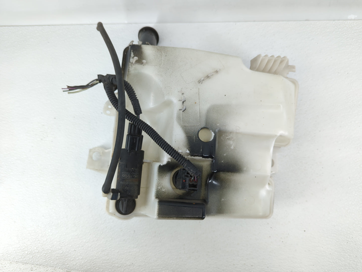 2012-2018 Ford Focus Windshield Washer Fluid Reservoir Bottle Oem - Oemusedautoparts1.com
